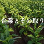 アグリビジネス企業一覧：主要企業とその取り組み