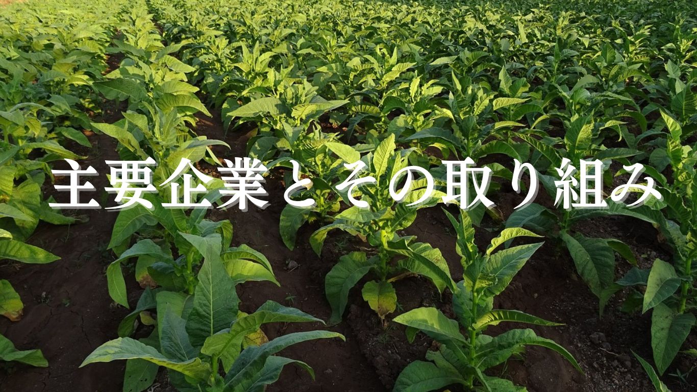 アグリビジネス企業一覧：主要企業とその取り組み