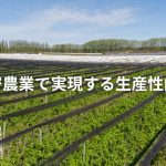 精密農業で実現する生産性向上