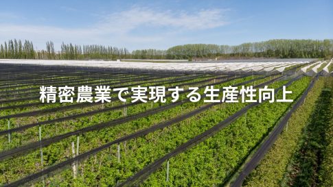 精密農業で実現する生産性向上