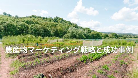 農産物マーケティング戦略と成功事例