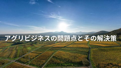 アグリビジネスの問題点とその解決策