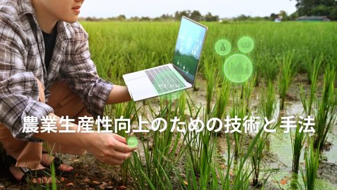 農業生産性向上のための技術と手法