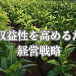 農業収益性を高めるための経営戦略