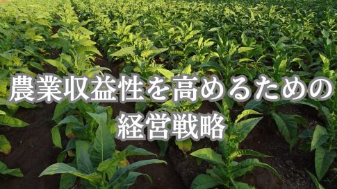 農業収益性を高めるための経営戦略