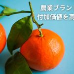 農業ブランド戦略で付加価値を高める方法
