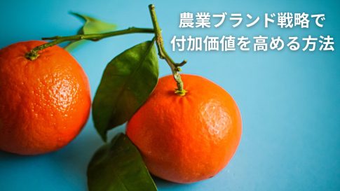 農業ブランド戦略で付加価値を高める方法