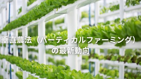 垂直農法（バーティカルファーミング）の最新動向